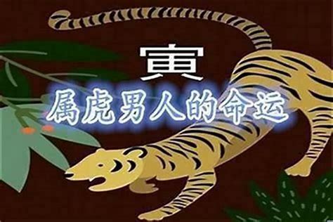 1998年属|1998年属虎的是什么命，98年出生的虎五行属什么